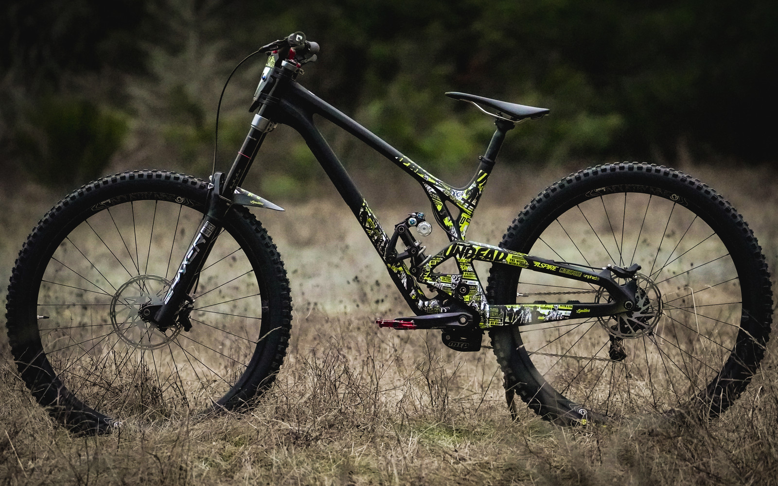 2023 Evil Wreckoning Undead DH Edition kdubsteezey's Bike Check